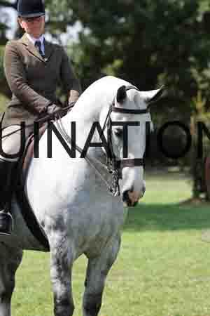 ALY-3041