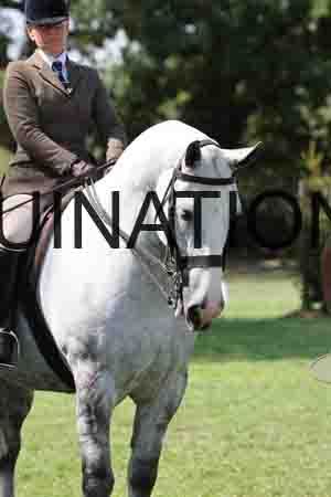 ALY-3042