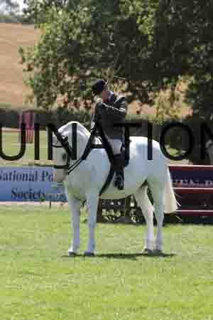 ALY-3087