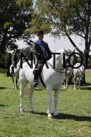 ALY-3119