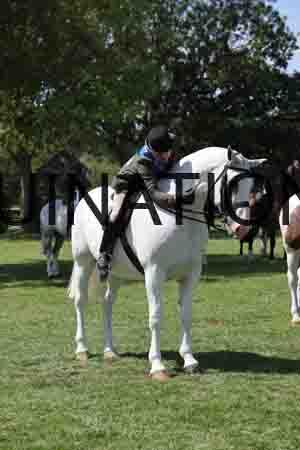 ALY-3165