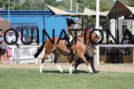 ALY-3278