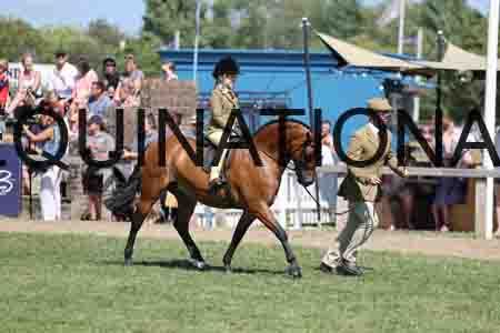 ALY-3358
