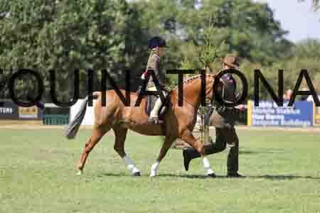 ALY-3389