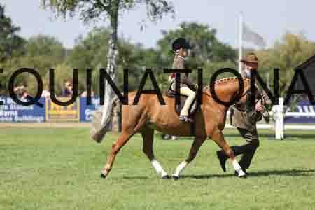 ALY-3391
