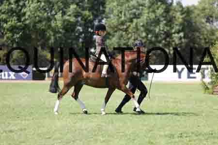 ALY-3416