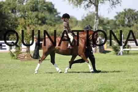 ALY-3418