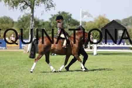 ALY-3419