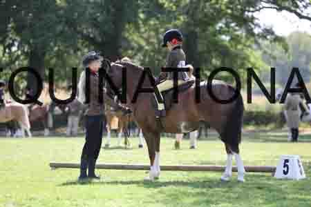 ALY-3422