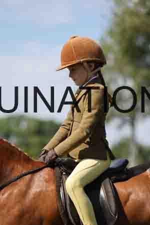 ALY-3431