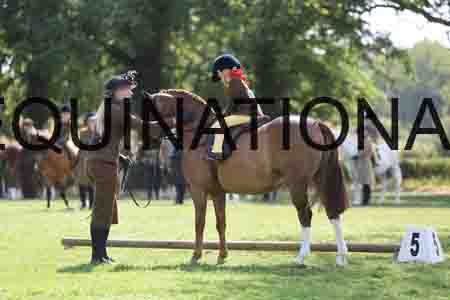 ALY-3452