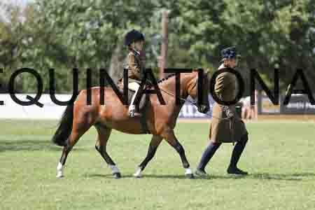 ALY-3461