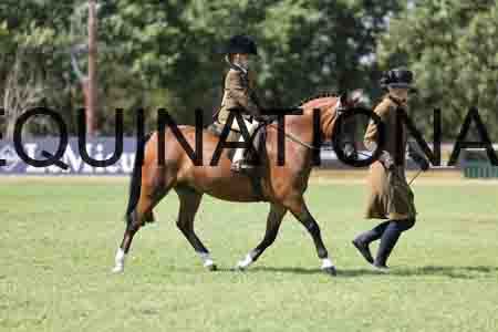 ALY-3462