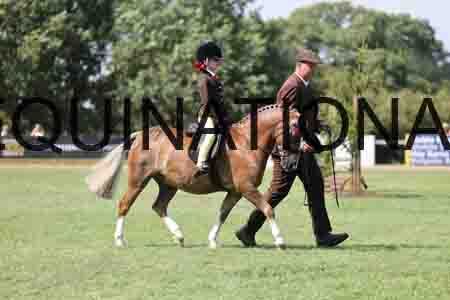 ALY-3479