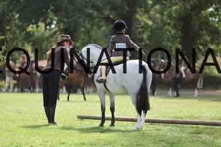 ALY-3538