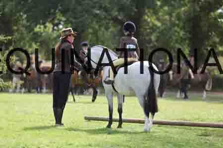 ALY-3539