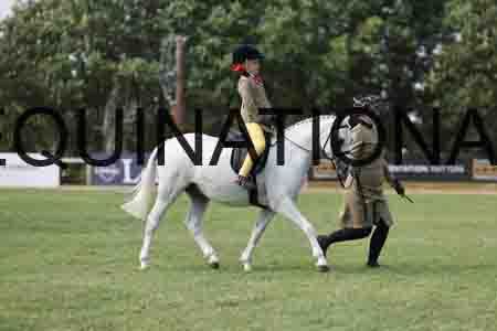 ALY-3559