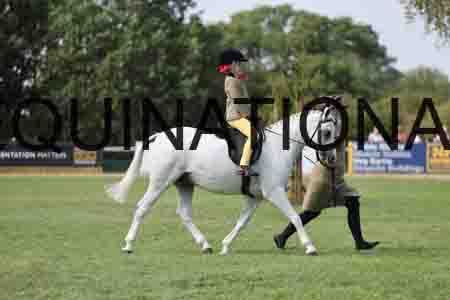 ALY-3561