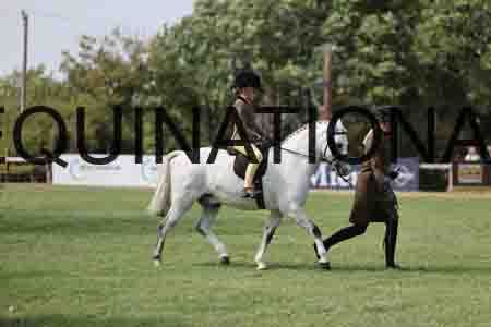 ALY-3571