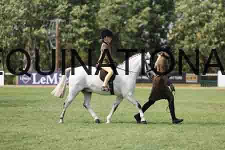 ALY-3572