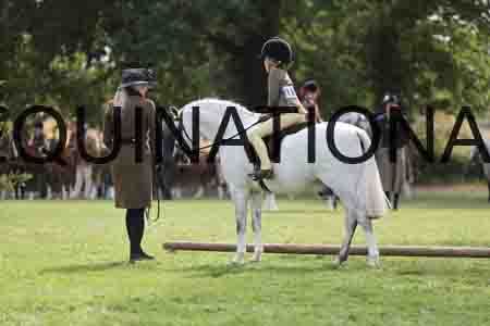 ALY-3579