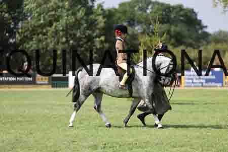 ALY-3590