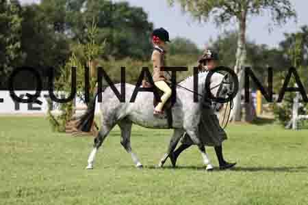 ALY-3591