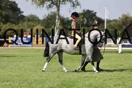 ALY-3592