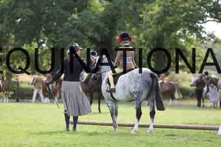 ALY-3595
