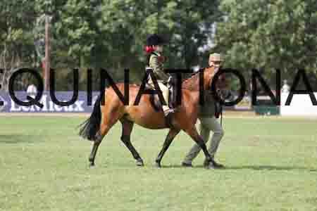 ALY-3643
