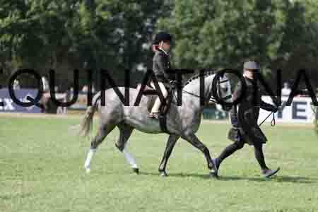 ALY-3669