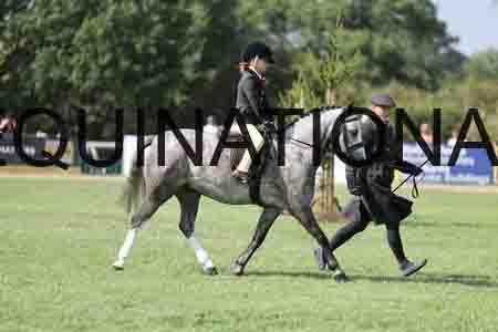 ALY-3670
