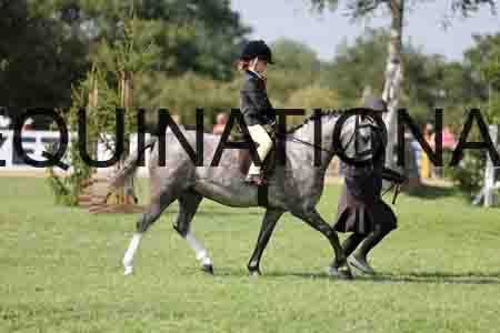 ALY-3671