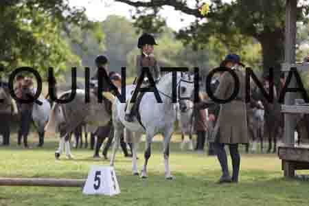 ALY-3675
