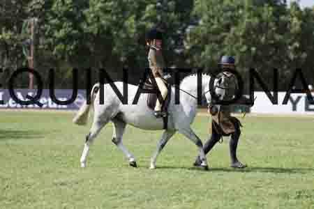 ALY-3682