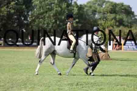 ALY-3683