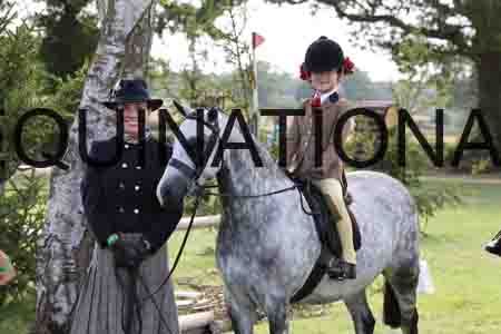 ALY-3735