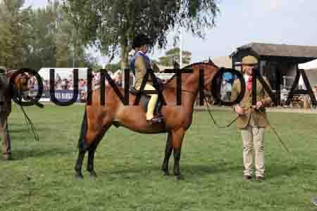 ALY-3894