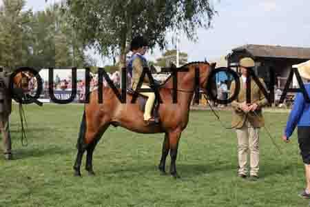 ALY-3895