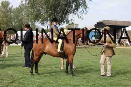 ALY-3898