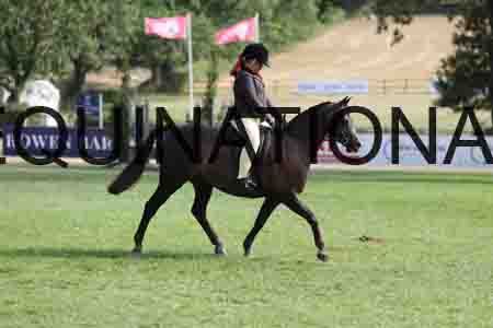 ALY-3975