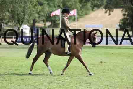 ALY-3985