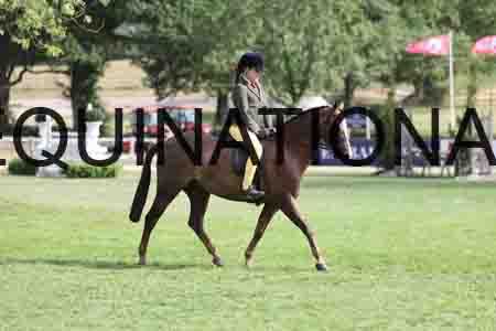 ALY-3989