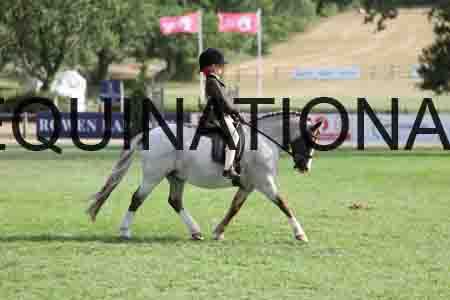 ALY-3995