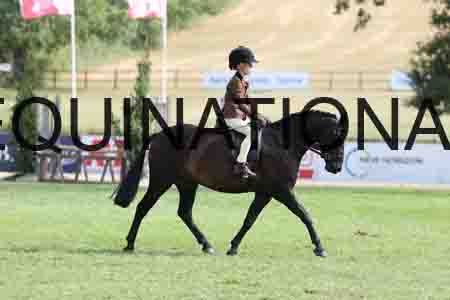 ALY-4043