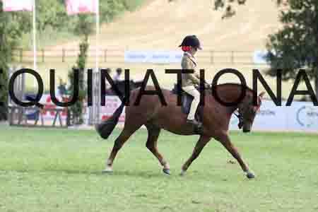 ALY-4047