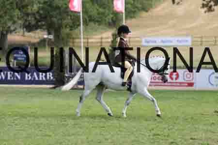 ALY-4057