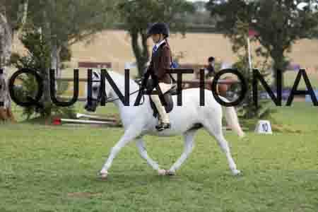 ALY-4069
