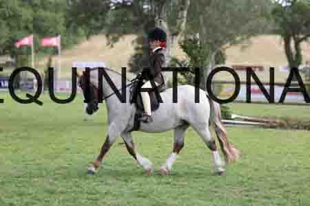 ALY-4073