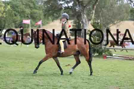 ALY-4079